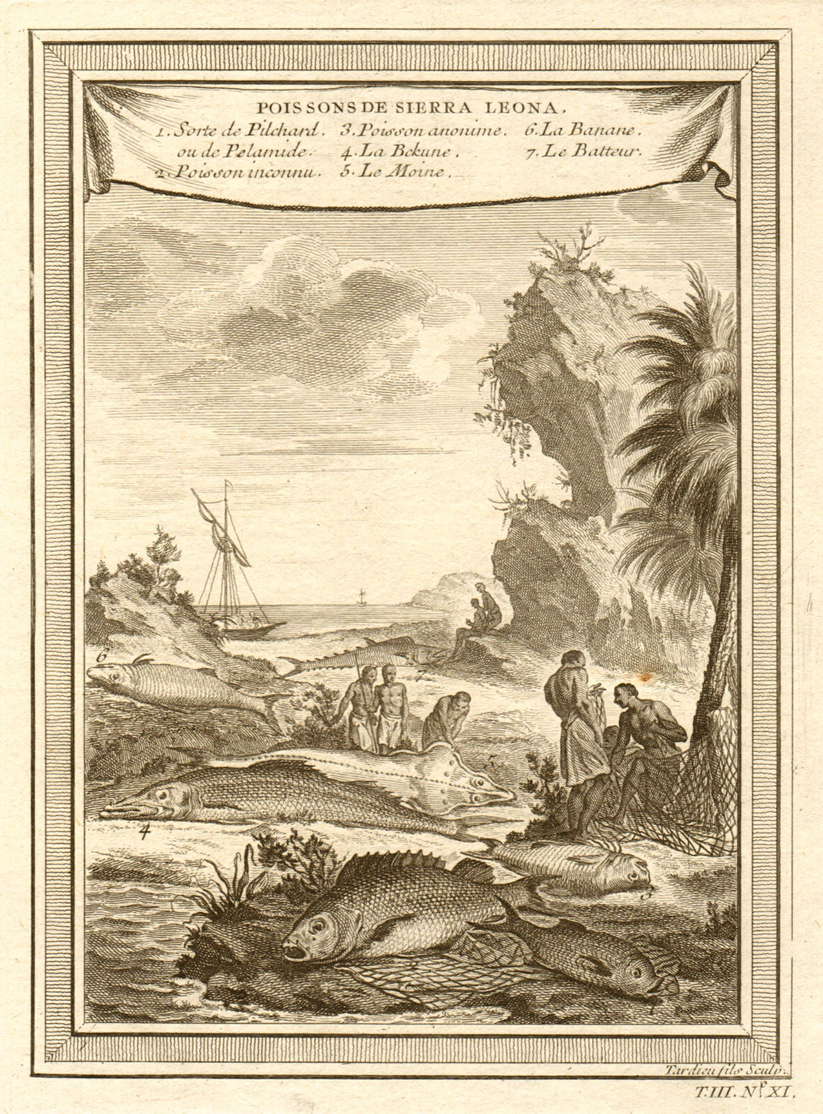 Sierra Leone fish. Pilchard Barracuda Monkfish Bonefish Drummer 1747 old print